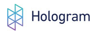 Hologram logo