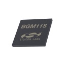 BGM11S12F256GA-V2